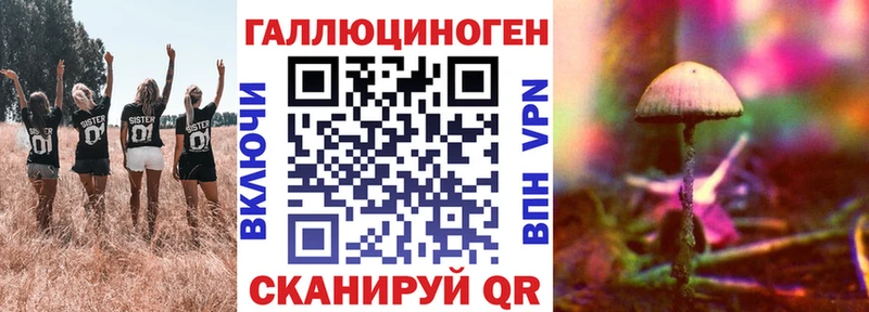 продажа наркотиков Облучье Псилоцибиновые грибы мицелий